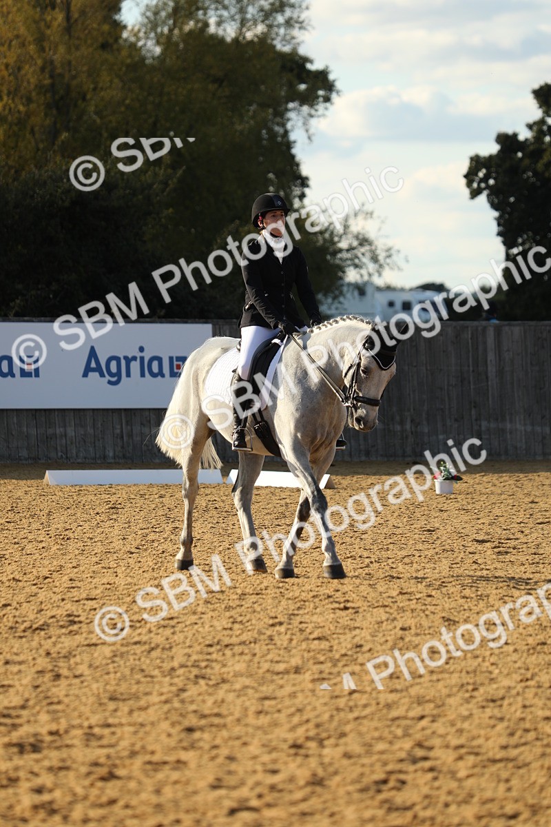 SBM_28642 - D20 - Grand Tour Championship - Elementary 44