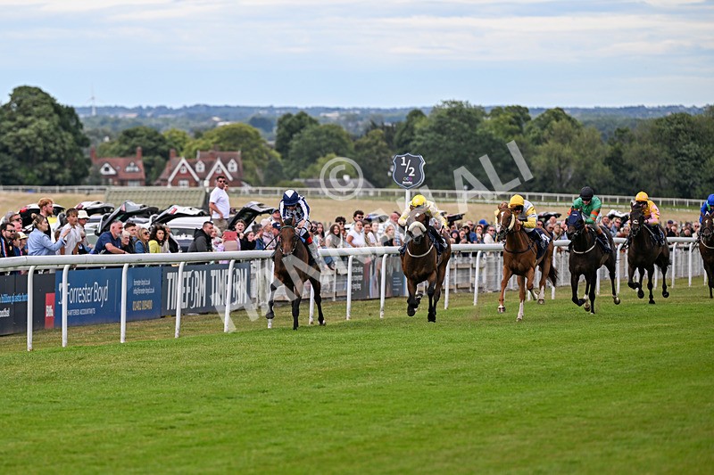 040726-Race 7-Zoulette-5662 - Race 7 17.40pm Happy Birthday Roy Archer Handicap