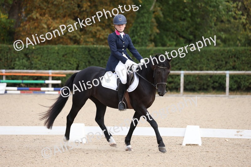 20250819-0807 - Class 1 - Intro 1