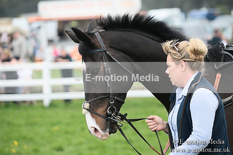 PtP 210418 140 - South & West Wilts Point-to-Point Larkhill 21/04/18