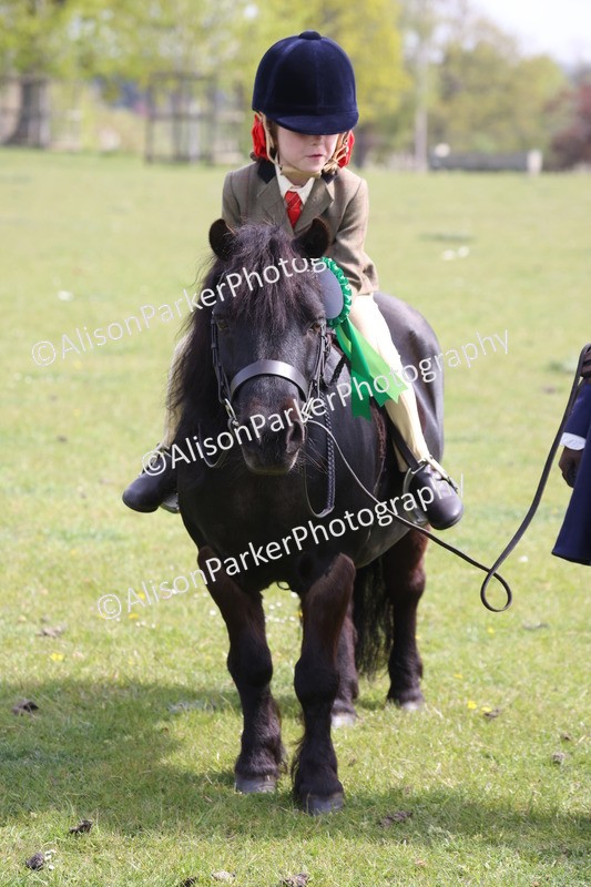 20260426-2624 - Class 31 - Leading Rein