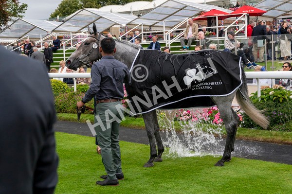 210824-Race 6-Star Of Lady M-5879 - Race 6 4.45pm Visit Irish Yearling Sale With ITM Fillies' Handicap