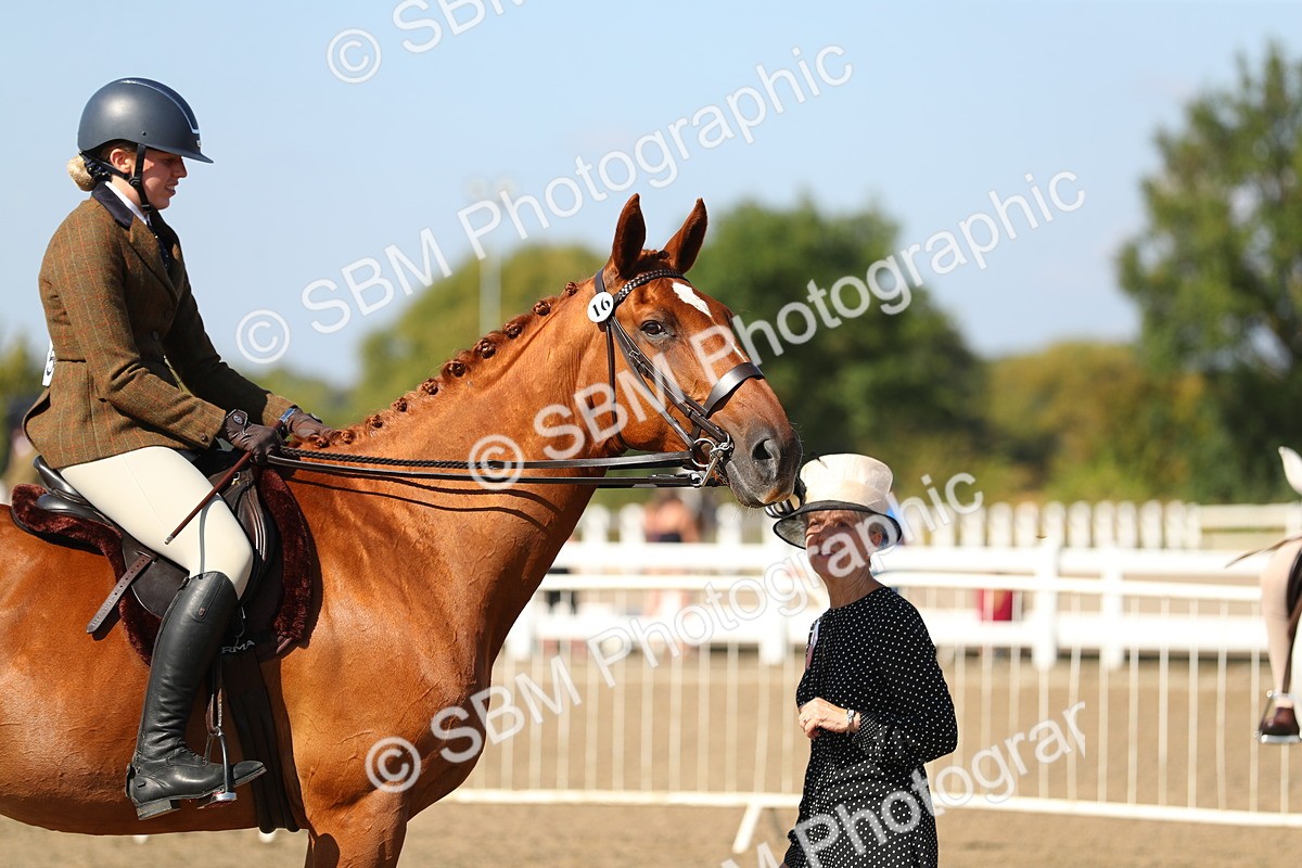 SBM_02293 - Class 43 Ridden Competition Horse/Pony