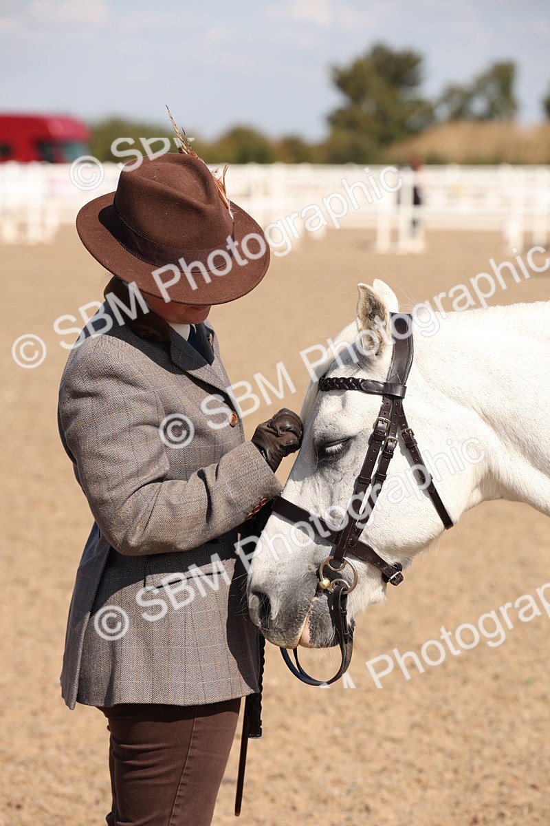 SBM_02812 - Class 16 IH M&M Wildcard