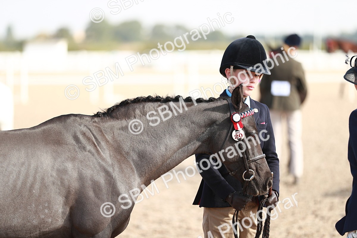 SBM_11083 - Class 205 IH Show Pony/ Show Hunter Pony