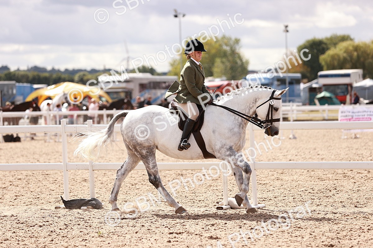 SBM_14437 - Class 410 - Grassroots Ridden - Horse
