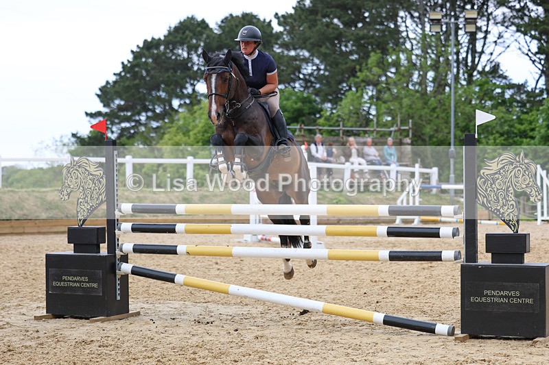 3E7A7918 - Class 8: Senior Foxhunter/1.20 open