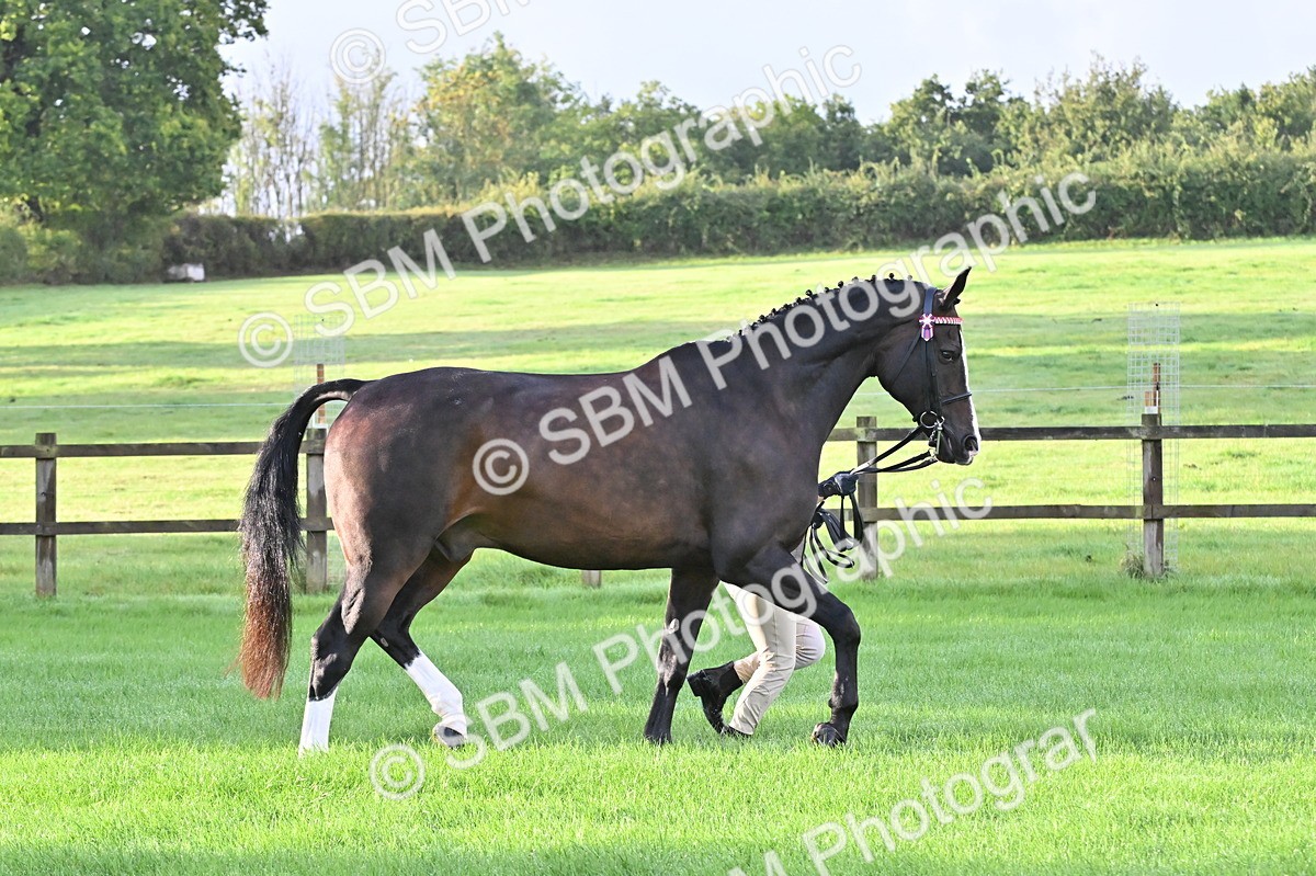 SBM_32583 - S15 - Top Turnout In Hand