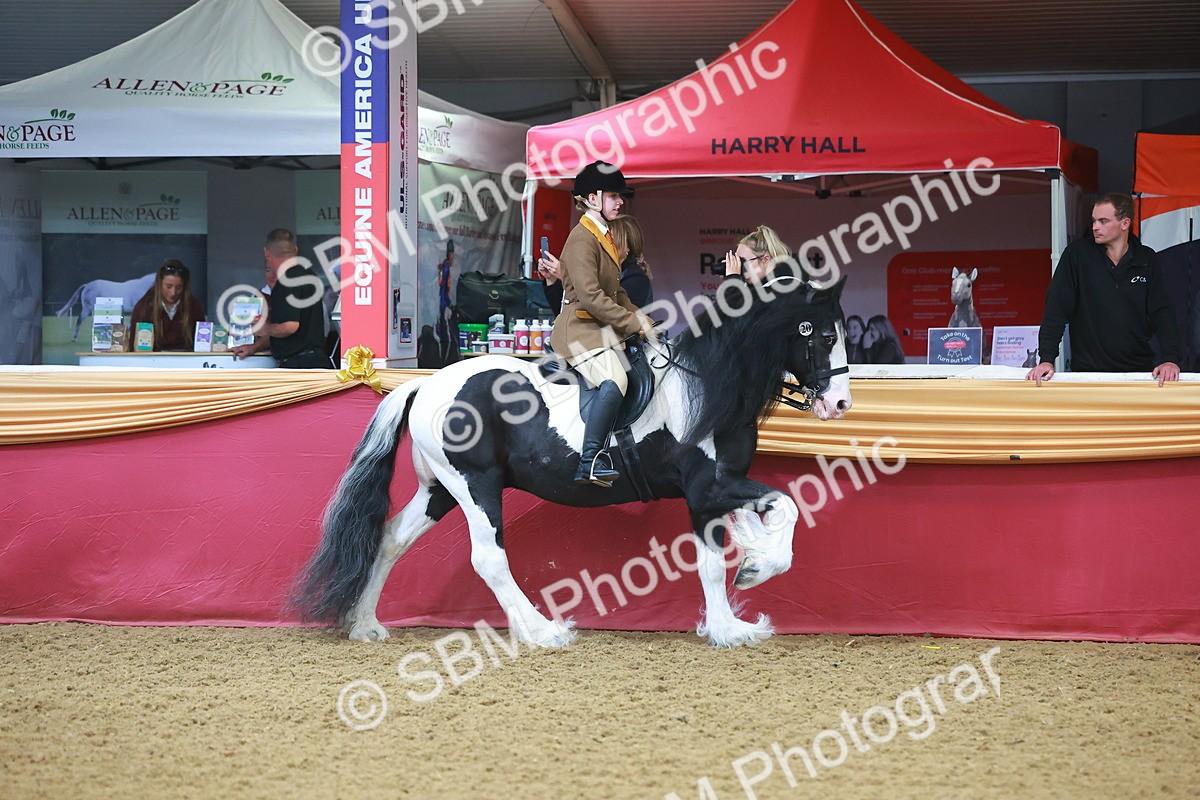 SBM_09625 - Class 102 - HOYS Veteran Qualifier - Ridden Veteran