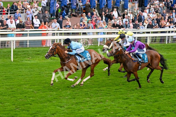 080925-Race 6-Rhapsody-7792 - Race 6 5.00pm Sky Bet Build A Bet Fillies' Handicap