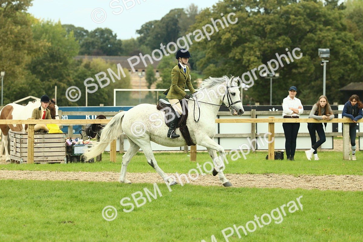 SBM_72047 - S60 - Mountain & Moorland Ridden Large Breeds