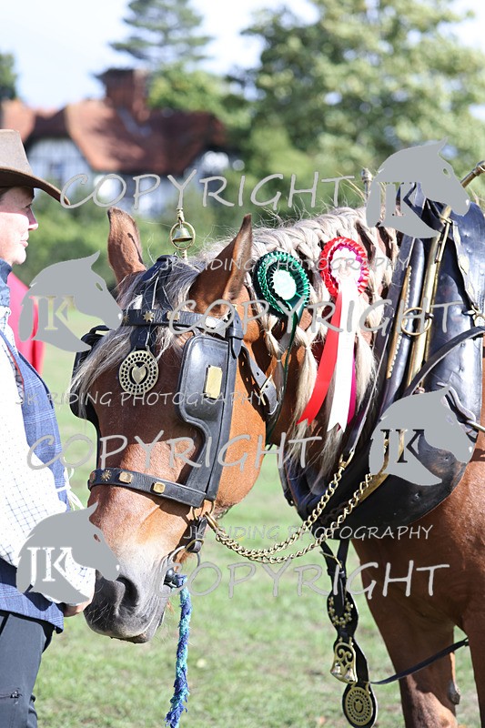 APP_4097 - Class 19 Fancy dress