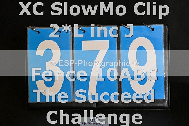 ESP_379 - C-379-Grace.Taylor
