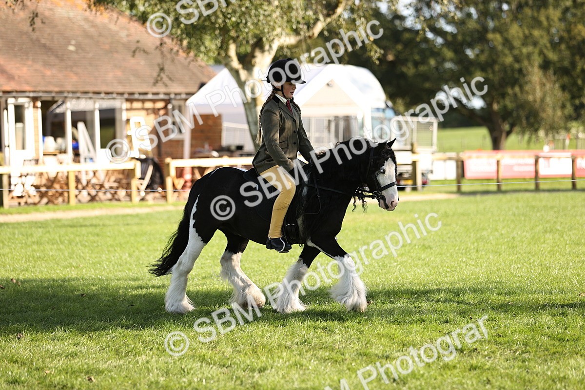 SBM_29335 - S7 - Novice & Newcomers Ridden Pony