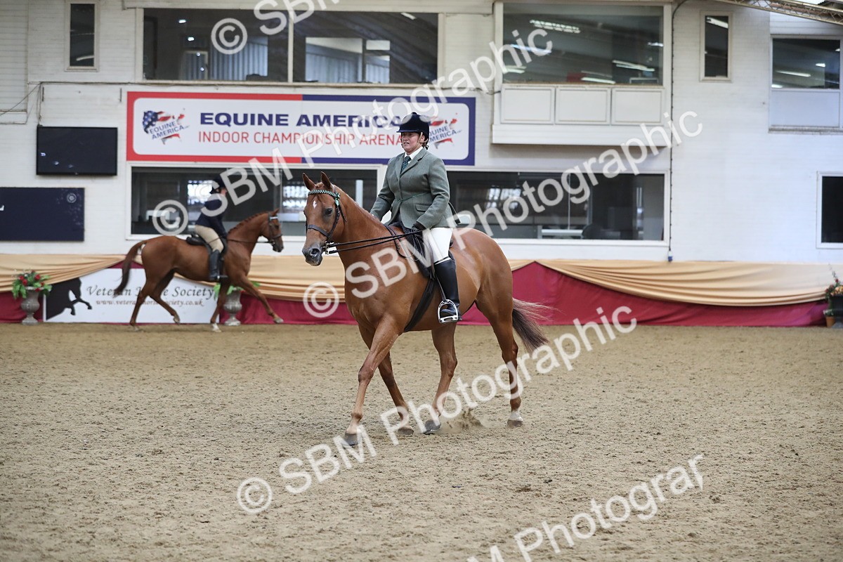 SBM_12332 - Class 108 Ridden Retired Racehorse- Pre Judging