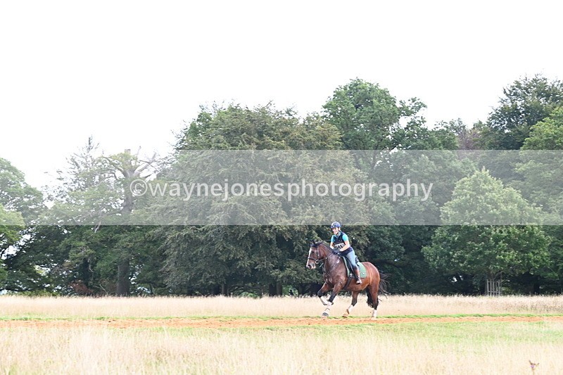 DSC_8219 - Time at Statue 13:52 to 14:33