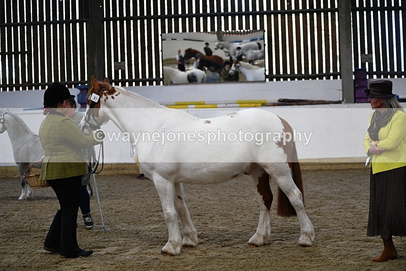 WJ5_3990 - Class 2 Best Condition In hand