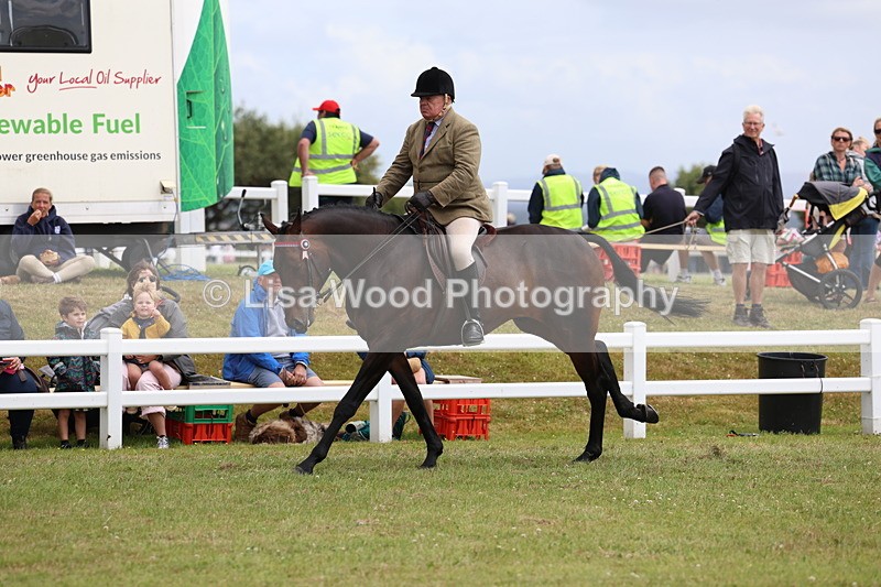 3E7A0978 - Class 8: Open Riding Horse/Hack