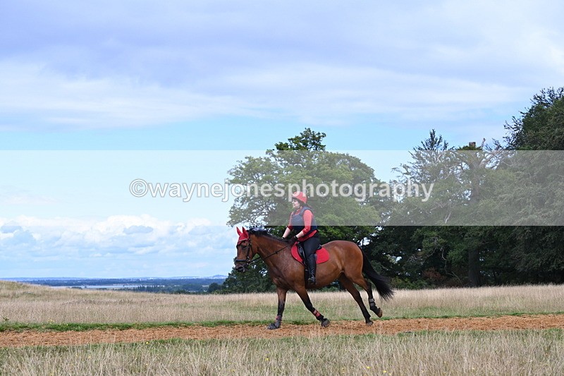 DSC_8871 - Time at Statue 14:33 to 15:10