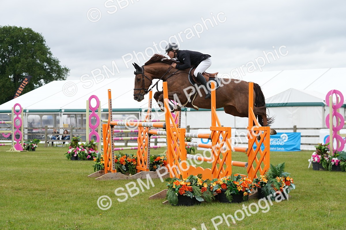 SBM_03443 - Class 201 - British Horse Feeds Speedi Beet Horse of the Year Show Grade  C