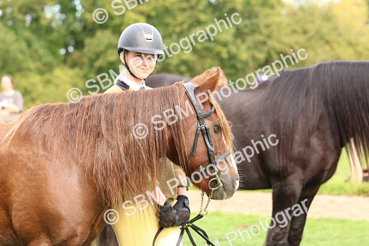 SBM_39362 - S24 - Young Veteran In Hand