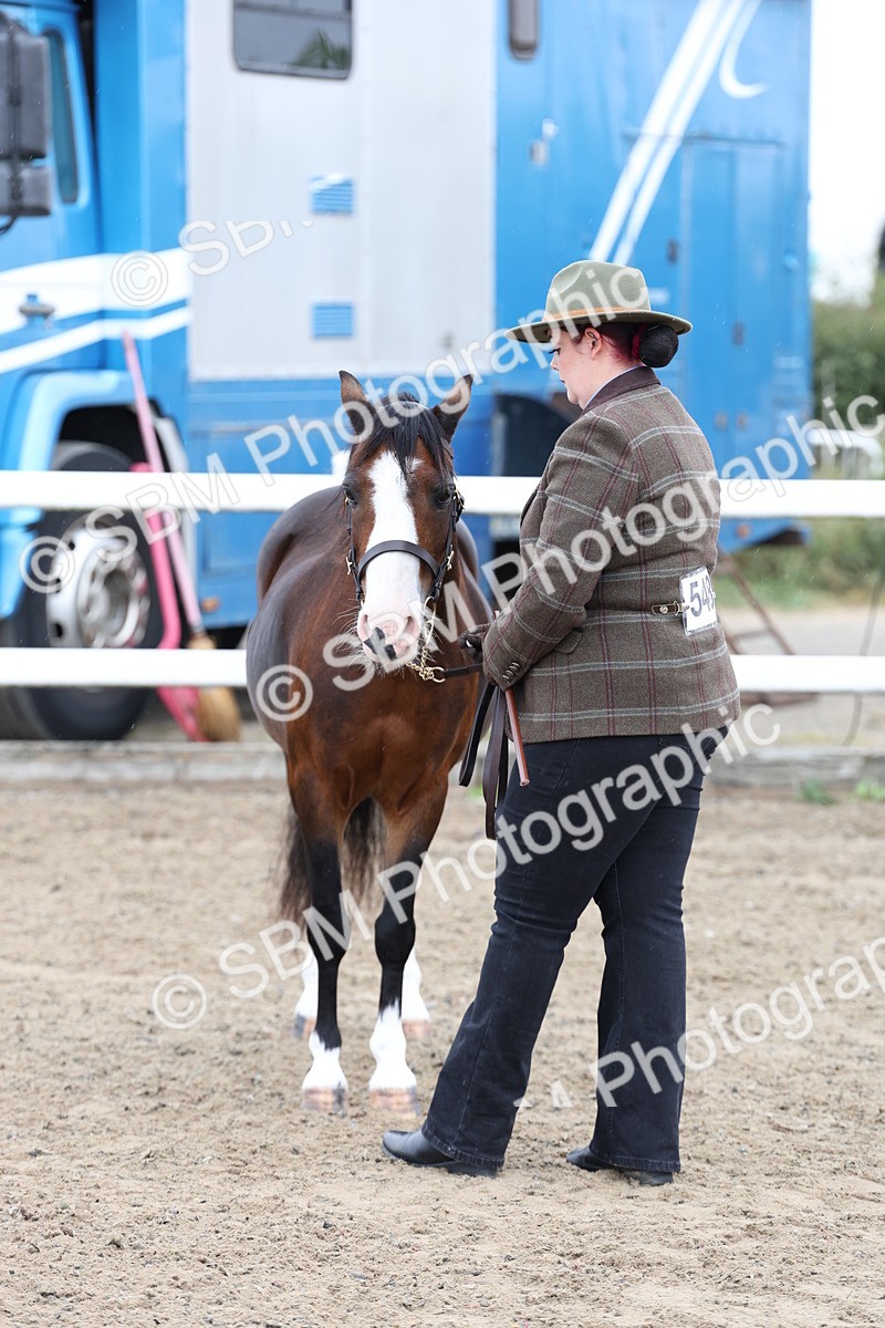 SBM_00086 - Class 50 - Best Turned Out IH