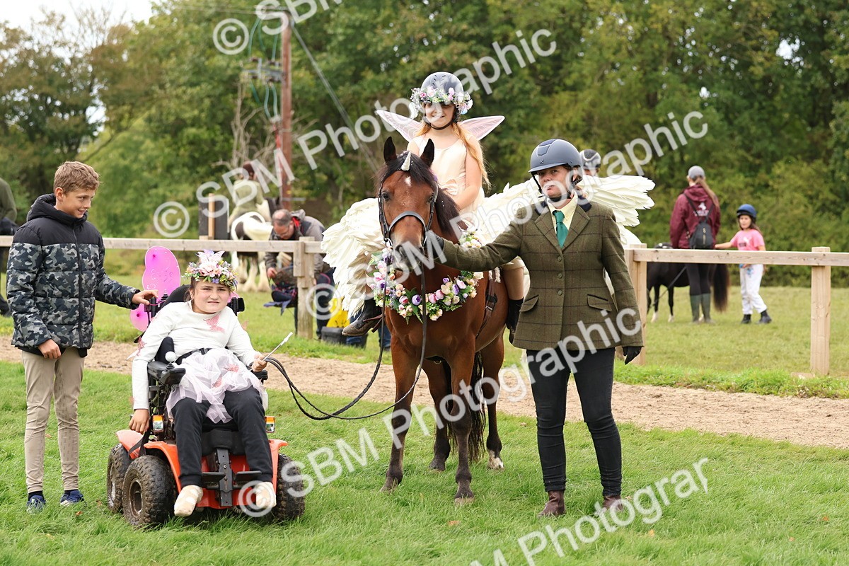 SBM_62194 - S37b - Best Unicorn