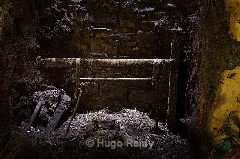  - Stand Still In Time