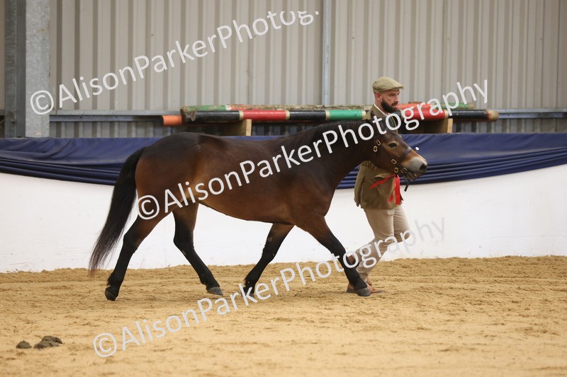 20260913-1311 - Youngstock Championship
