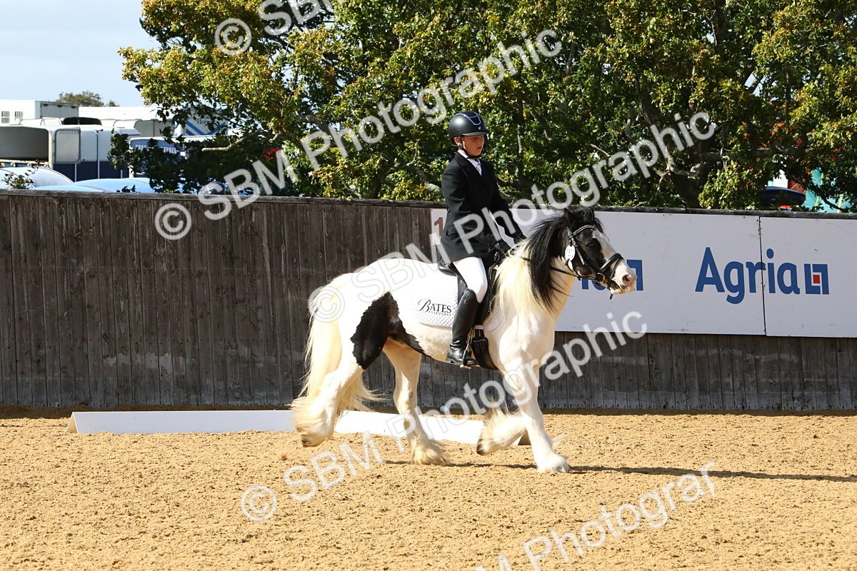 SBM_24441 - D5 - Small Tour Championshop Intro 2