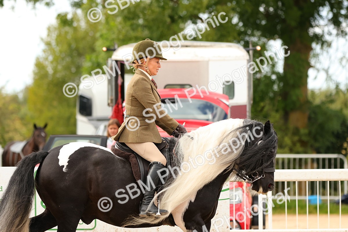 SBM_15650 - Class 215 - Ridden Traditional - Native Cobs