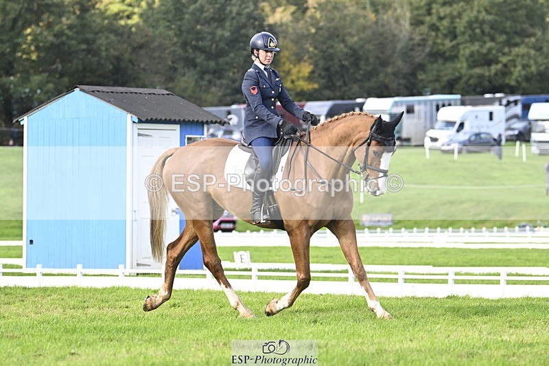 251023A-151436-04552 - E-387-Vittoria.Panizzon