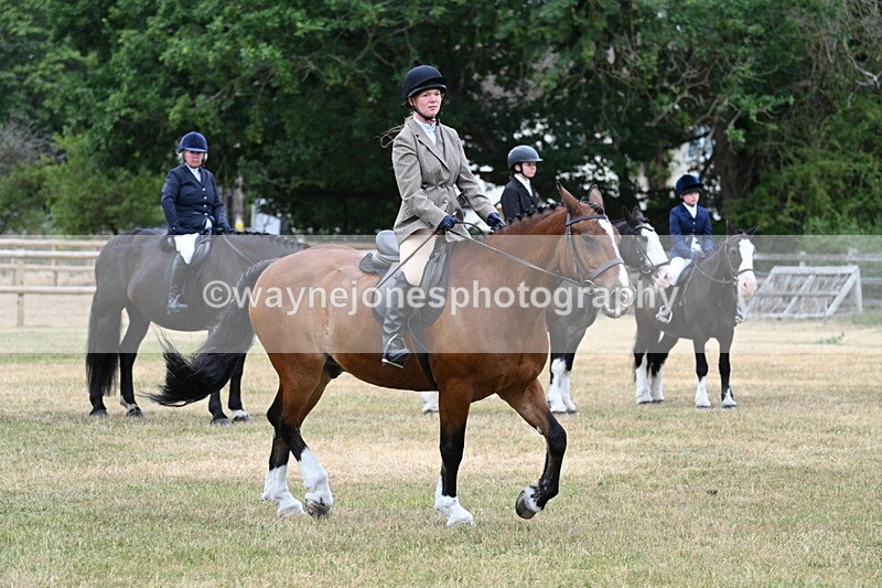 WJ7_1269 - Class 3 Family Mount