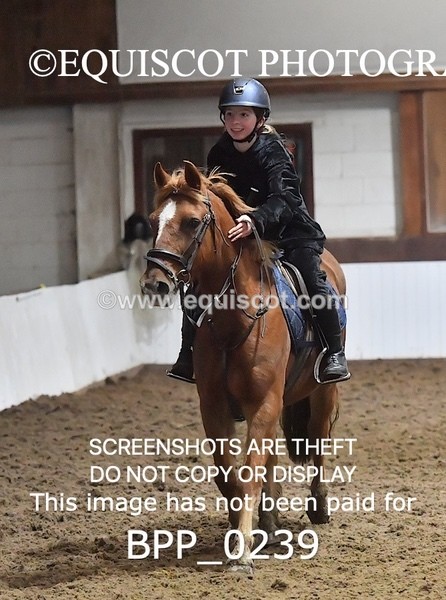 BPP_0239 - CLASS 4 50CM