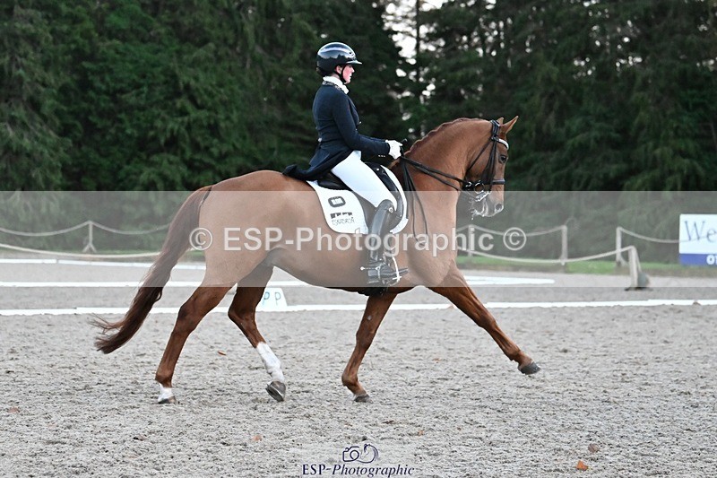 231110-163656-02693 - Cls 14 FEI Grand Prix