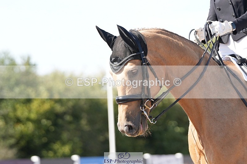 250906-154407-04850 - 054-Amy.Louise.LloydDiva.Royale