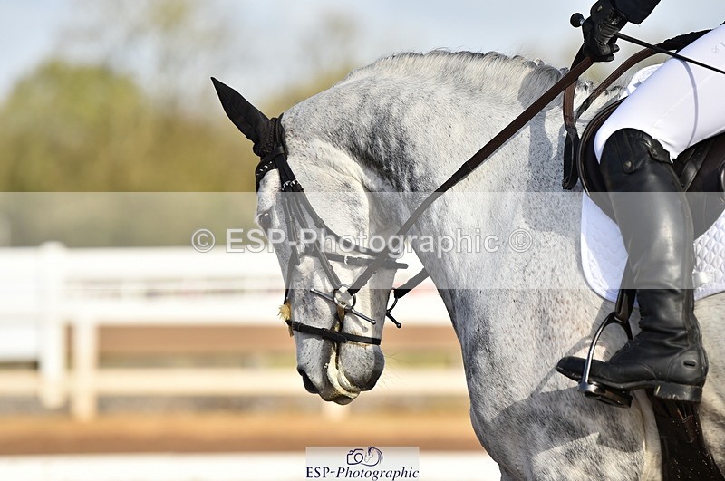 231104A-103856-01407 - Cls 2 Prelim 19