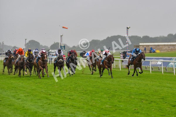 140723-Race 6-Copper Knight-8348 - Race 6 4.55pm Irish Thoroughbred Marketing Handicap