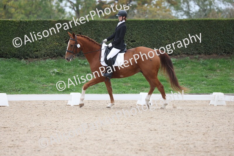 20251011-0557 - Class 6 - Elementary 1