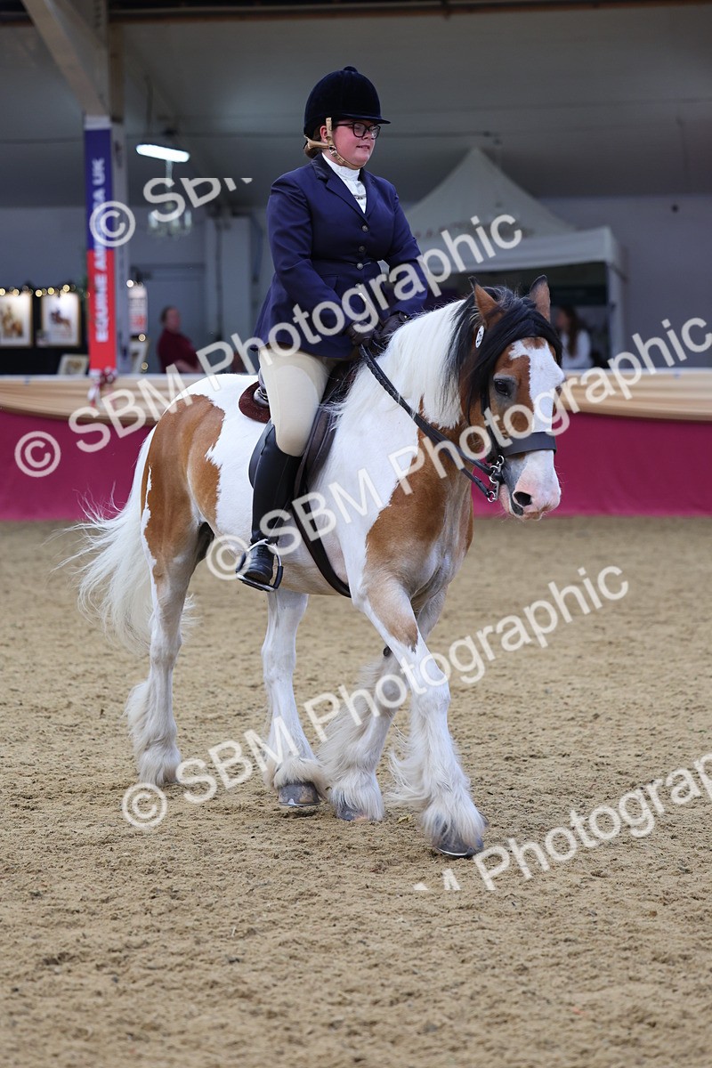 SBM_23776 - Class 904 - Supreme Final Ridden Diamond