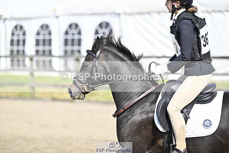 240823X-102202-15148 - 60cm R2 9.30 to 11.00