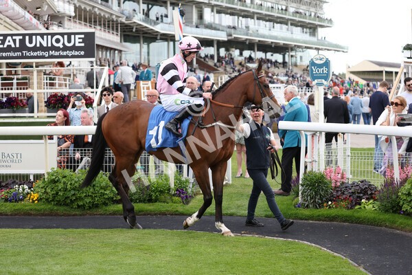 yr10062022r5-9 - Race 5 4.05pm Irish Thoroughbred Marketing Stakes