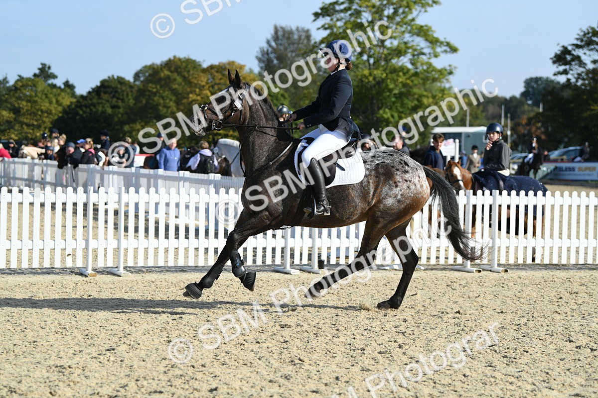 SBM_60491 - j25 - Junior Horse 80cm Championship