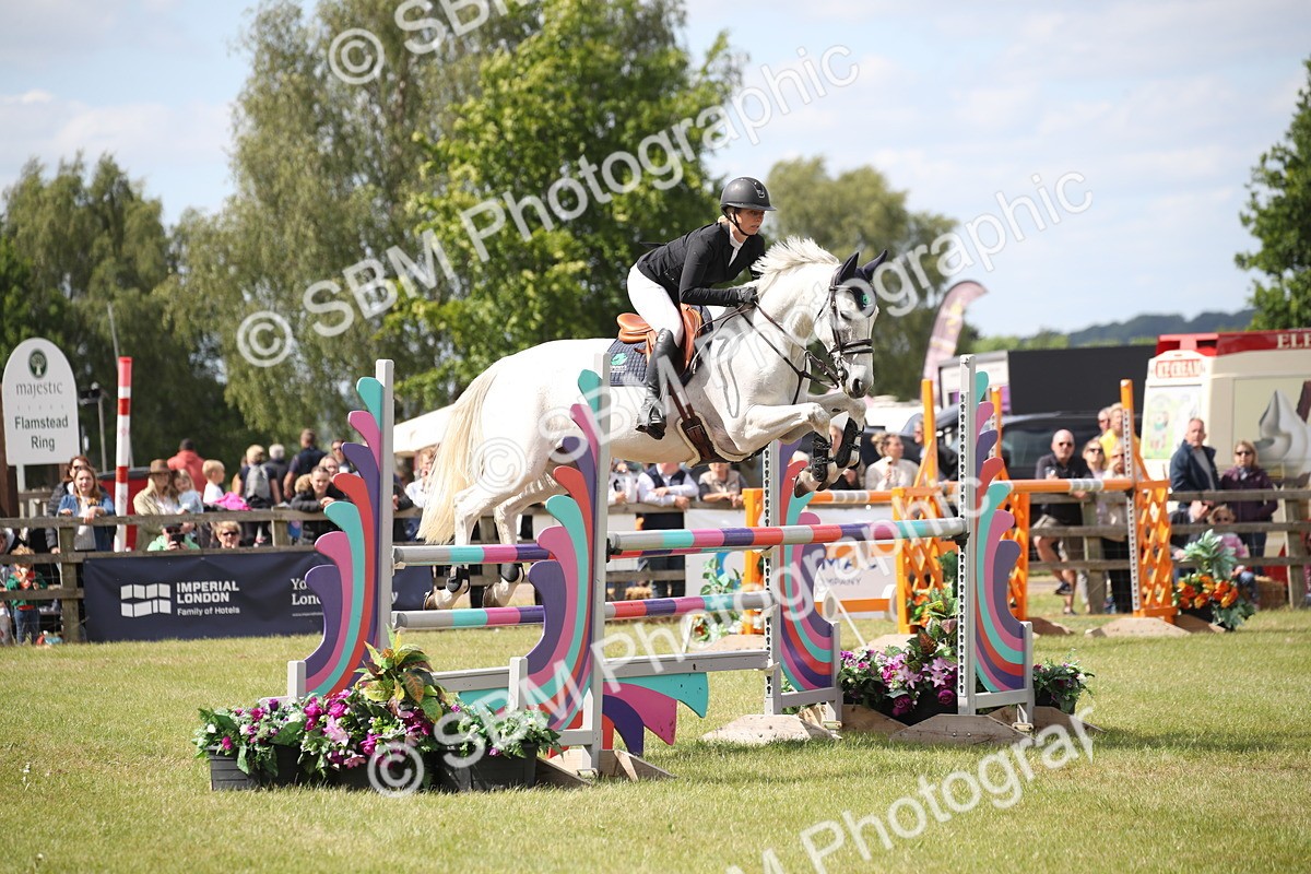 SBM_17507 - Class 208 - Senior Foxhunter 1.20m Open