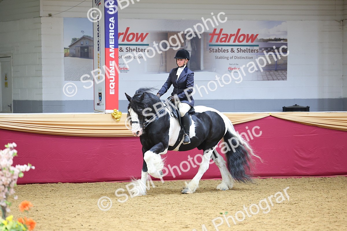 SBM_24431 - Class 906 - Supreme Final - Ridden Pre Vet