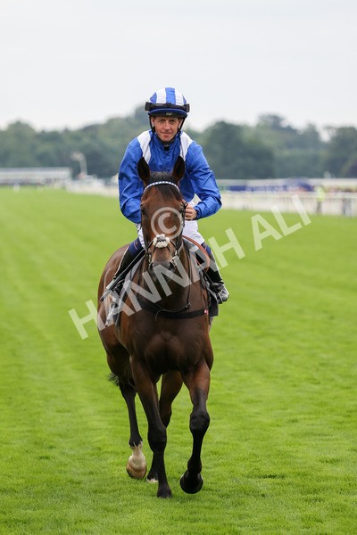yr20082021r4-18 - Race 4 3.35pm Coolmore Wootton Bassett Nunthorpe Stakes (British Champions Series Race)