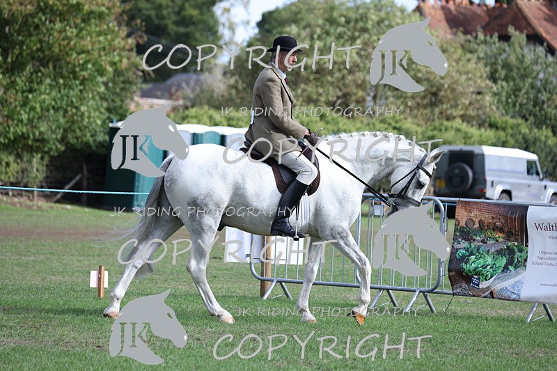 APP_4108 - Class 15a/b Pony club pony/Riding club horse