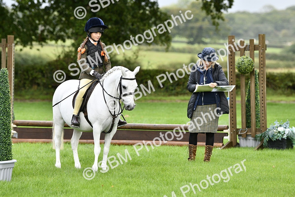 SBM_35448 - S30 - Nursery Stakes Working Hunter Pony
