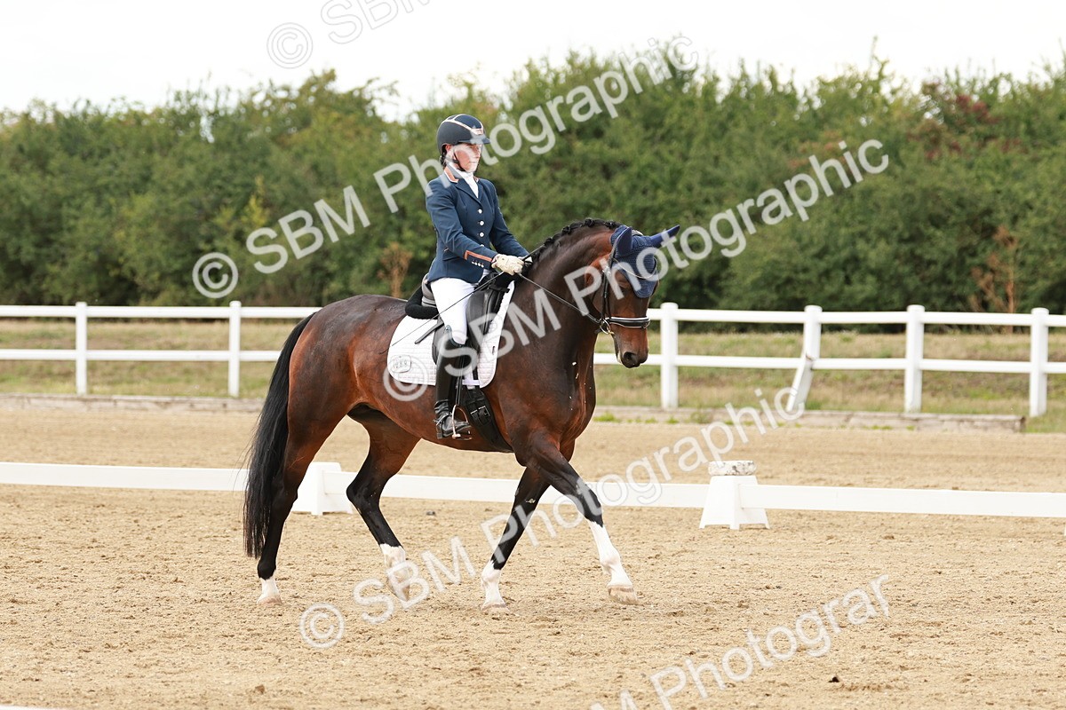 SBM_002162 - Class 11 - Medium 6