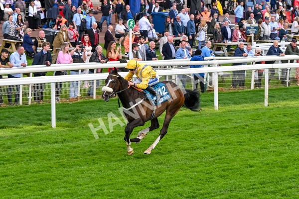 150524-Race 7-Dancing In Paris-4735 - Race 7 5.20pm Stuey Weston & Friends Getting Out Handicap